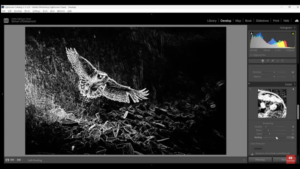 Sharpening Mask tool in lightroom mod