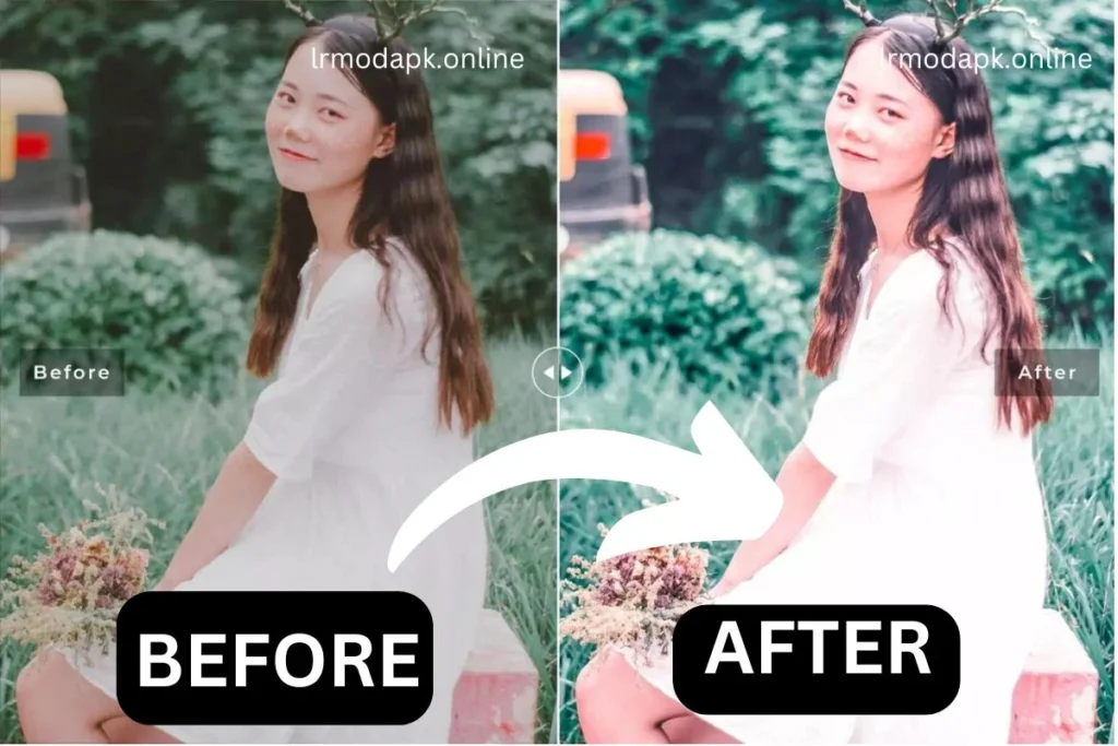 Camellia Lightroom Presets