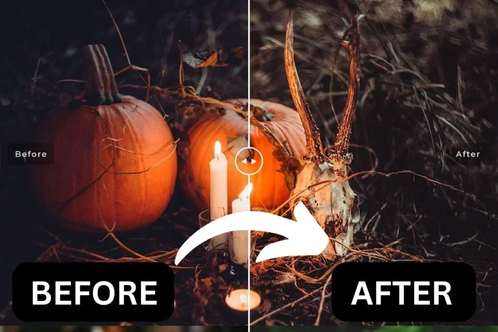 Halloween Lightroom Mod Presets