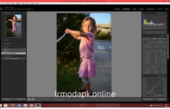 Avoid These 7 Beginners Photo Editing Mistakes in Lightroom Mod APK