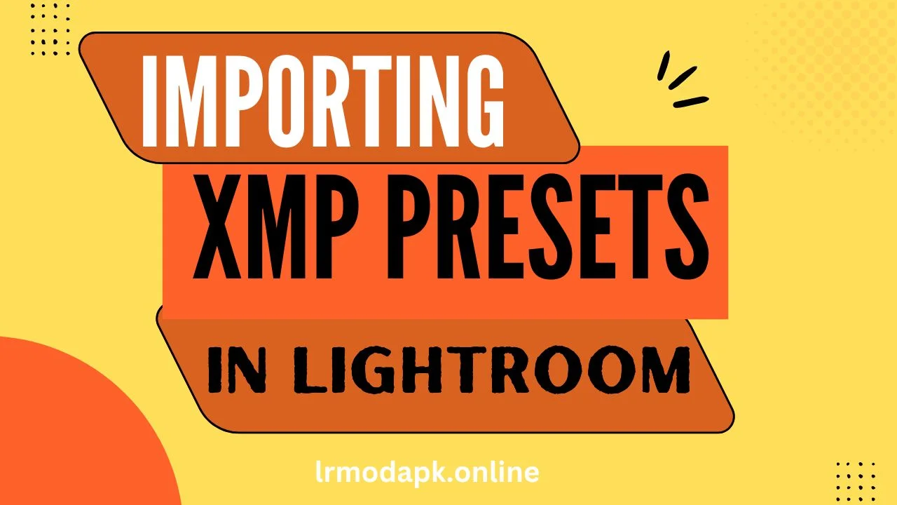 Importing XMP Presets files in Lightroom Mod APK