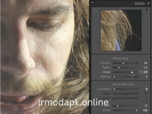 Improper Sharpening Techniques in lightroom mod apk