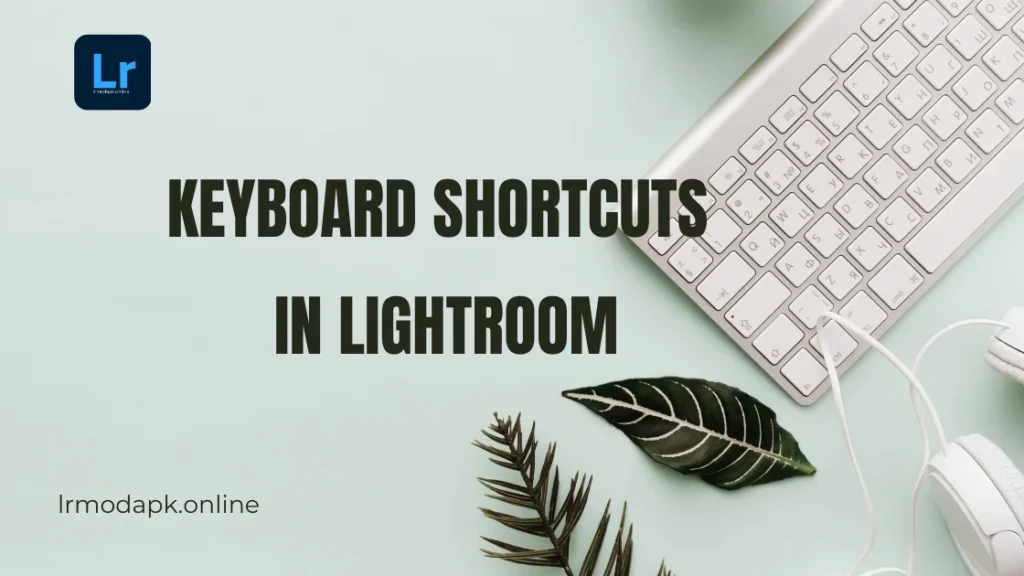 Lightroom Keyboard Shortcuts That Will Save Your Editing Time