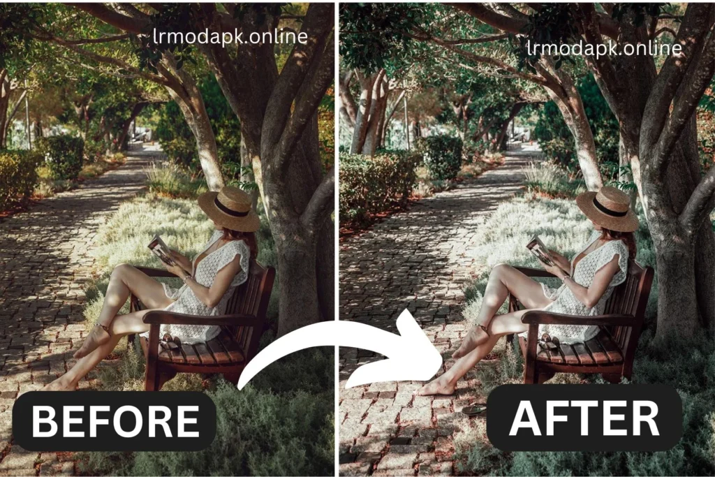 Majorelle lightroom presets mod apk