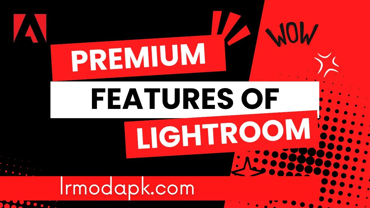 Premium Features of Lightroom APK