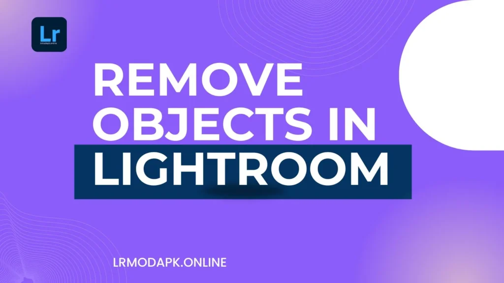 3 Ways To Remove Objects In Lightroom Mod