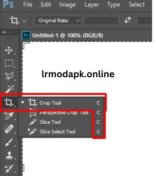 Basic Navigation And Organization Shortcuts Crop & Rotate (C) in Lightroom