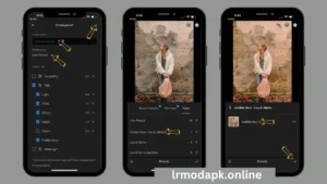 Load your presets lightroom mod APK