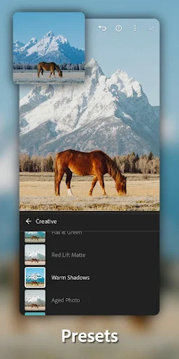 lightroom pro apk