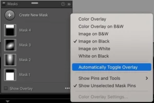 Adobe lightroom Masking Toggle